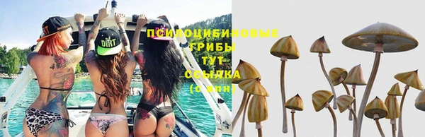 apvp Касимов